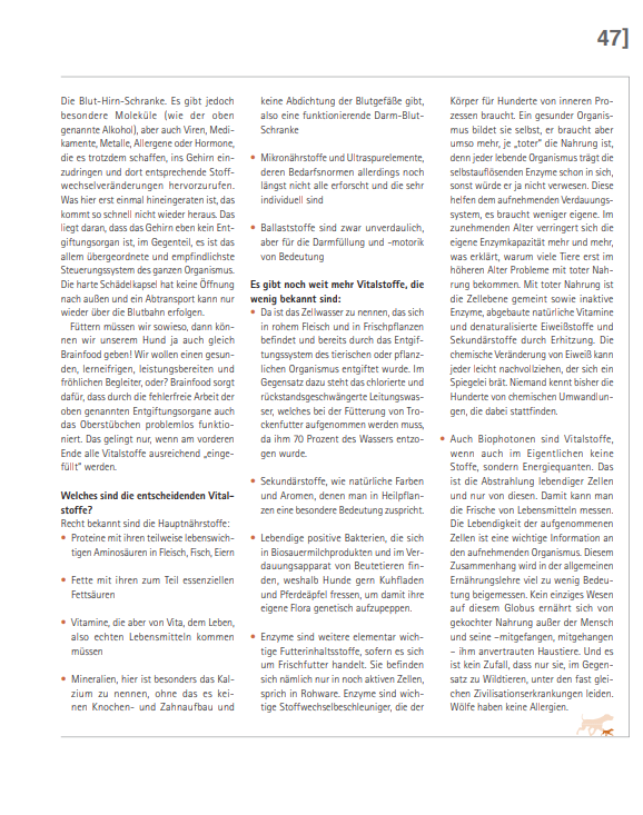 Foto Zeitungsartikel