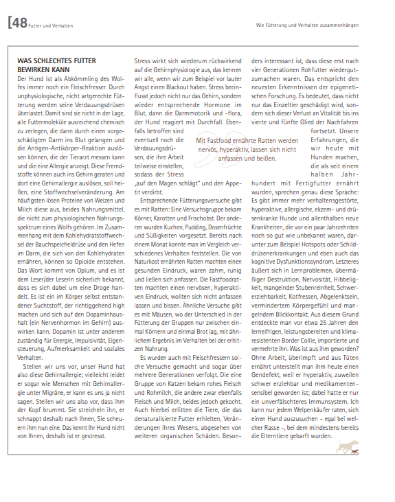 Foto Zeitungsartikel