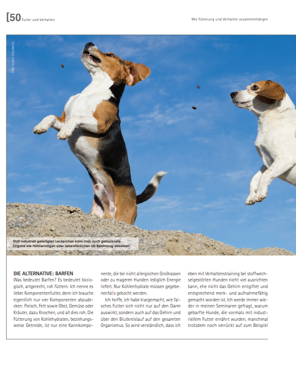 Foto Zeitungsartikel