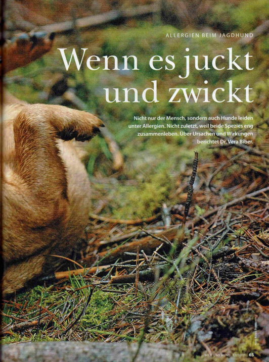 Foto Zeitungsartikel