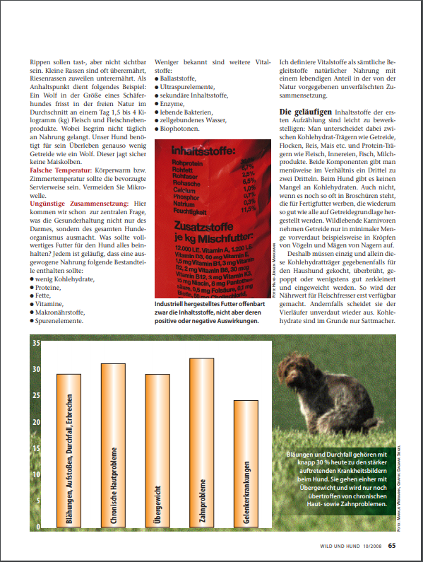 Foto Zeitungsartikel