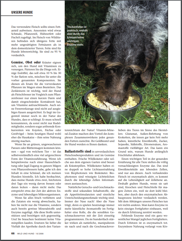 Foto Zeitungsartikel