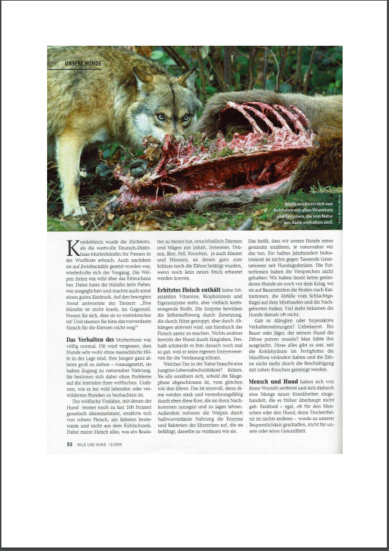 Foto Zeitungsartikel