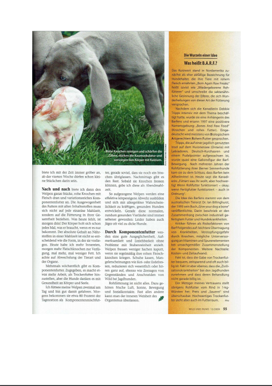 Foto Zeitungsartikel