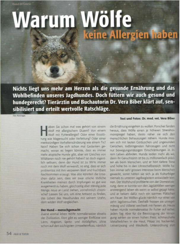 Foto Zeitungsartikel